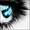 Photo of Qype User (Badner…)