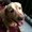 Photo of Rotem N.