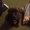 Photo of Joso L.