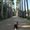 Photo of Carlota K.