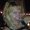 Photo of Lisa K.