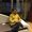 Photo of Kaustuv M.