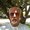 Photo of Dave C.