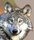 Photo of Qype User (peterw…)