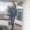 Photo of Malou A.