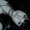 Photo of Knives Y.