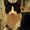 Photo of Kandis G.