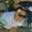 Photo of Mayra M.