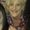 Photo of Tameria S.