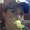 Photo of Maryn L.