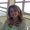 Photo of Shauna F.