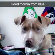 google avatar