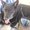 Photo of Qype User (niff…)