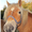 Photo of Qype User (solala…)