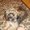 Photo of John C.