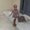 Photo of Elande P.
