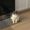 Photo of Solar S.