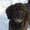 Photo of Qype User (timmyk…)
