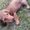 Photo of Daniela S.