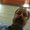 Photo of Dale H.