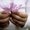 Photo of JoAnn H.