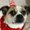 Photo of Koby A.