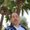Photo of Ronald M.