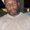 Photo of Odvaungh B.