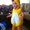 Photo of Janine L.
