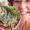 Photo of Sandie B.