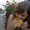 Photo of Jessah F.