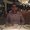 Photo of Hardik R.