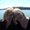 Photo of Tami B.