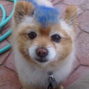 google avatar