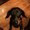 Photo of Kady H.