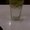 Photo of IAmFrankIAm F.