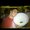 Photo of Lance O.