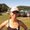 Photo of Katheryn O.