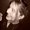 Photo of Laura F.