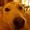 Photo of Danby M.