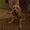 Photo of Donna C.