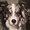 Photo of Skyylar B.