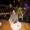 Photo of Letisha V.