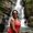 Photo of Michelle R.
