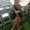 Photo of Brittany R.
