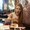 Photo of Beckie C.