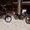 Photo of Anna A.