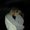 Photo of Kerrie F.