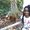 Photo of Ranilda L.