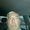 Photo of Dennis P.